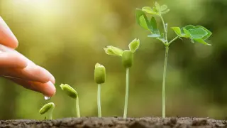 У правительства попросили 714 миллионов тенге на новую информационную систему