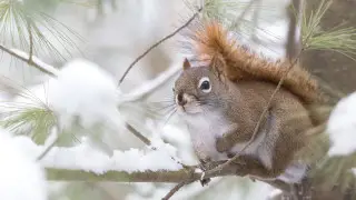 Дождь и снег: погода в Алматы на 12-14 февраля