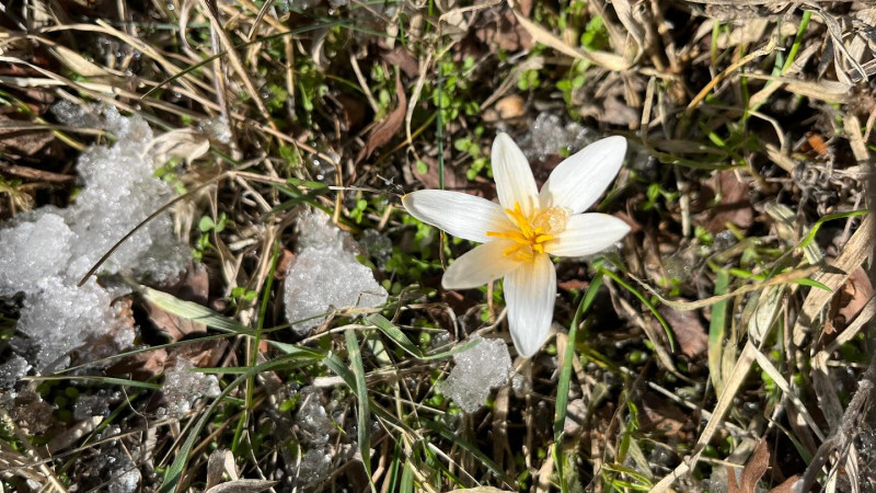 Фото: instagram.com/qazaqormany