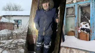 Бродячие собаки спасли казахстанца: история о любви, боли и человечности