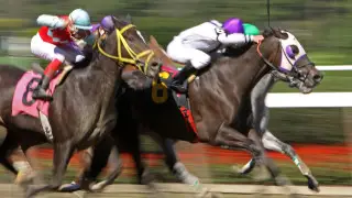 Что станет с алматинским ипподромом, рассказал Досаев