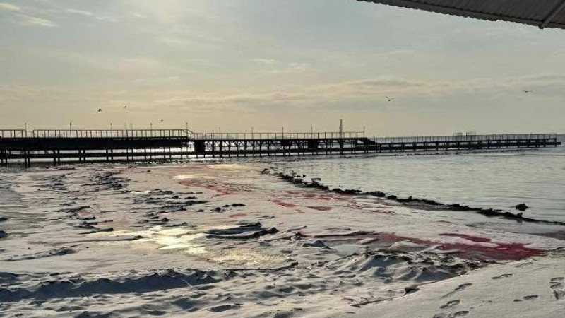 Фото департамента экологии МО