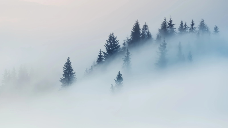 Фото:depositphotos.com