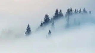 Гололедица и туман: погода в Алматы на 14-16 февраля