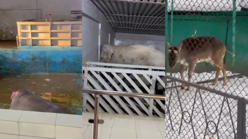 Кадры из видео