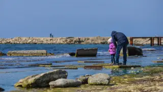 Пора вводить режим ЧС на Каспии? Ученые требуют немедленных действий