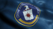 Департамент Илона Маска опубликовал секретную информацию разведслужбы США