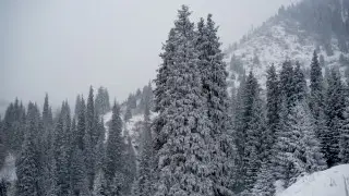 Четверых подростков обнаружили в горах Заилийского Алатау