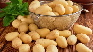 “Золотую“ картошку пытался закупить детский сад в Павлодаре