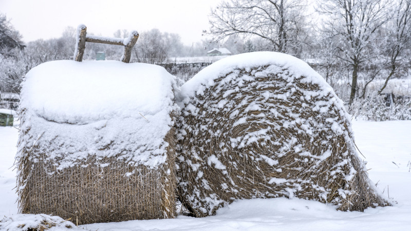 Фото:depositphotos.com