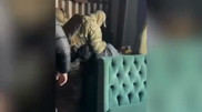 ГКНБ показал видео задержания “племянника“ президента Кыргызстана