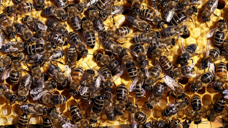 Фото:depositphotos.com