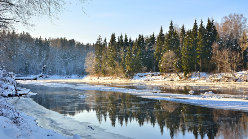 Фото:depositphotos.com