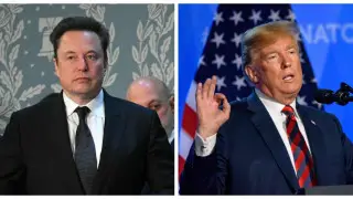 Трамп и Маск против “воук-науки“: ученых заподозрили в идеологическом уклоне