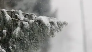 Метель, гололед и дождь: в 15 регионах страны объявлено штормовое предупреждение