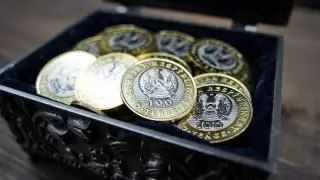 В Казахстане проверят, на что ушли деньги из Нацфонда