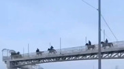 Галопом по мосту: выходка кокпаристов попала на видео в Алматинской области
