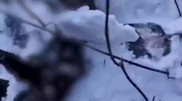 Убили или замерзли? Страшную находку обнаружили под снегом в Астане
