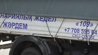 В Алматы станет круглосуточно доступна экстренная ветпомощь для бродячих животных