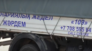 В Алматы станет круглосуточно доступна экстренная ветпомощь для бродячих животных