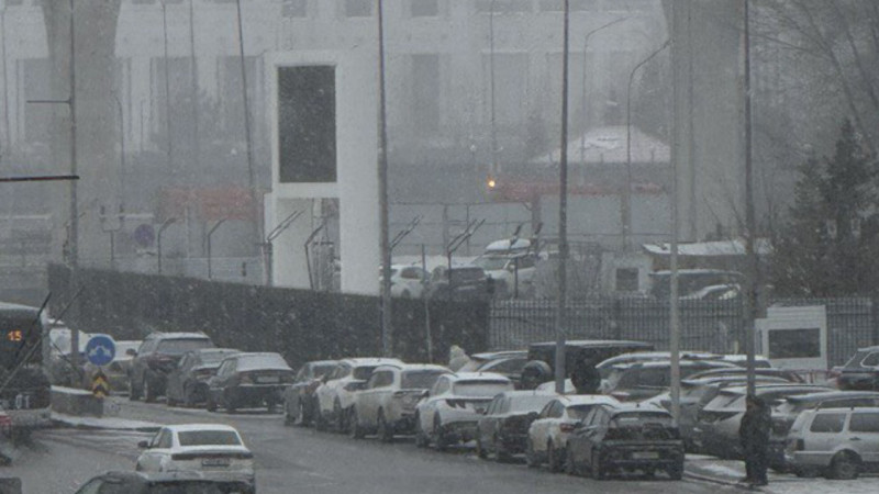 Фото: Алина Шашкина/ Tengrinews.kz