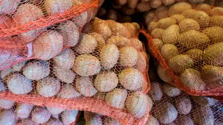 “Достаточно, чтобы дожить до мая“ - министр о запасах картофеля в Казахстане