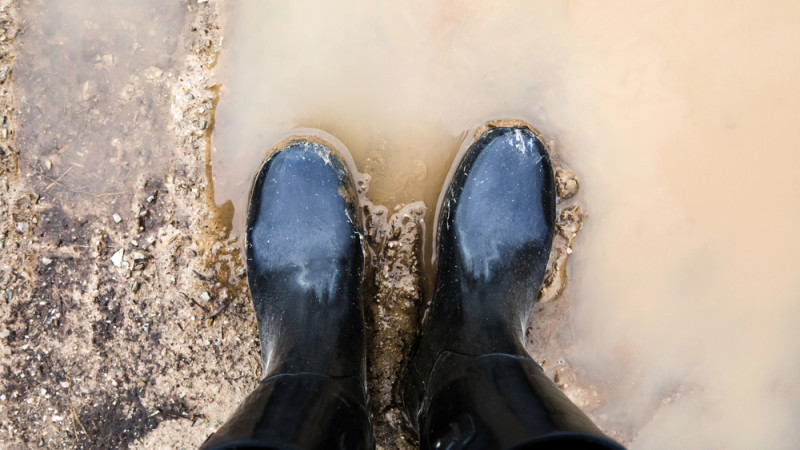 Фото:depositphotos.com