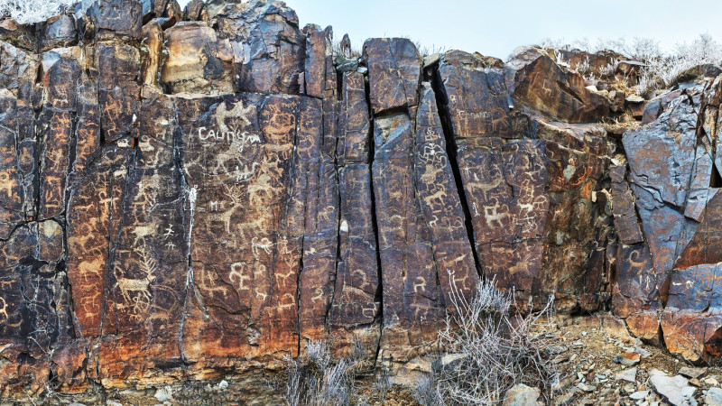 Фото: Анель Айбасова, архив экспедиции к горам Архарлы