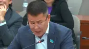 “Нужен кодекс для роста экономики“: депутат Мажилиса раскритиковал предложенную налоговую реформу