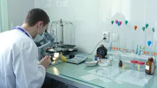 Генетическая экспертиза помогла раскрыть преступление восьмилетней давности в Акмолинской области