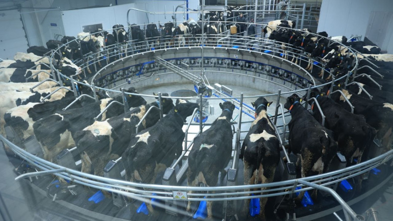 Фото: Бердиболат Коркембаев