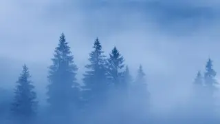 Туманные выходные ждут алматинцев