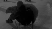 Видео с катающимся на санках бараном в Актау вызвало споры в сети