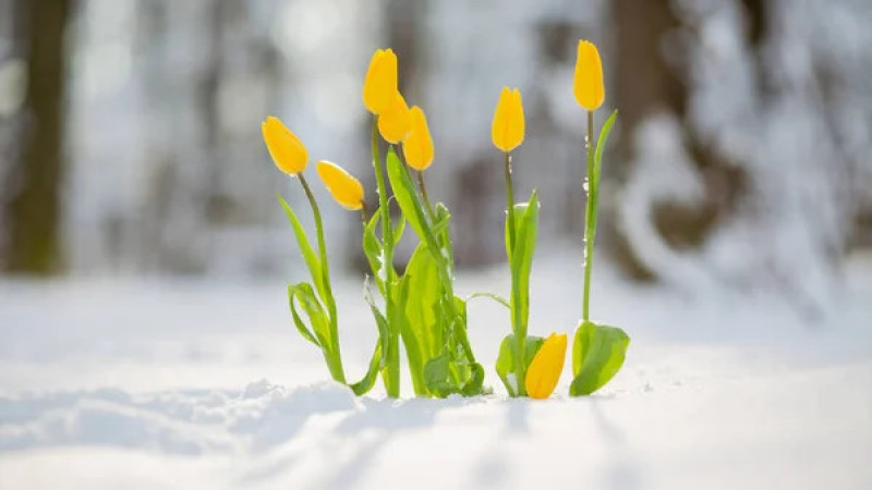 Фото:depositphotos.com