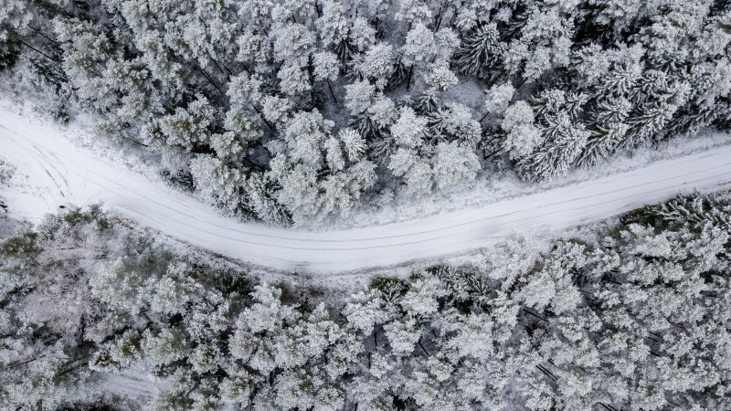 Фото:depositphotos.com