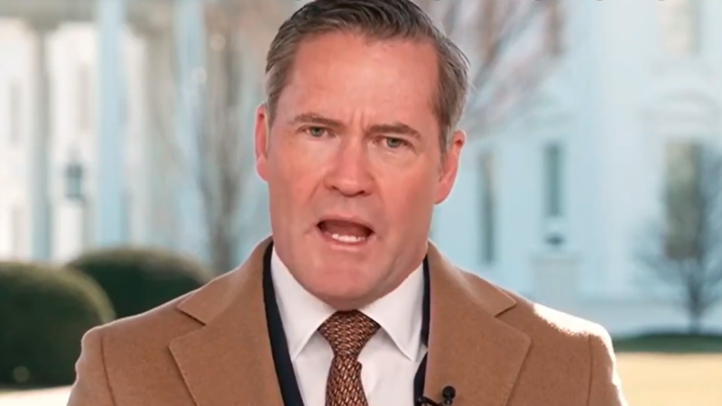 Советник Белого дома по нацбезопасности Майк Уолтц. ©️ Fox News