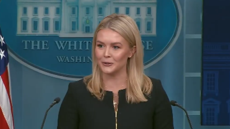 Фото: x.com/comlabman