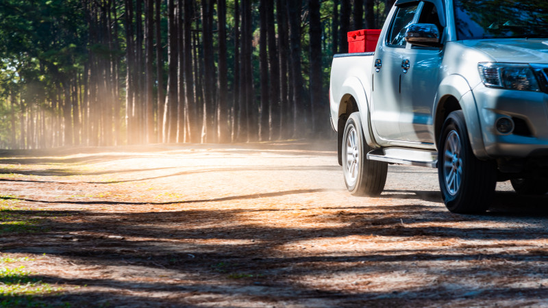 Фото:depositphotos.com/Anatta_Tan