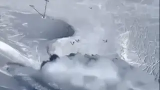 “Уходите!“ - Сход лавины на Шымбулаке попал на видео