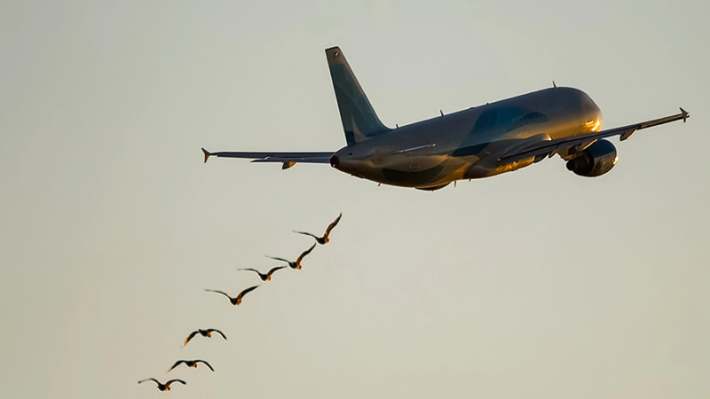 Фото:depositphotos.com