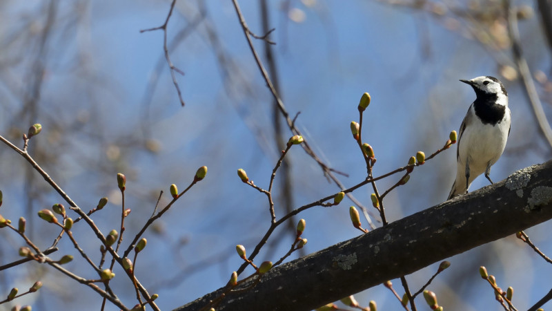 Фото:depositphotos.com
