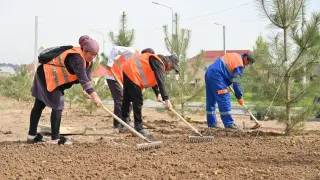 Эта акция должна стать образом жизни каждого - Токаев о “Таза Қазақстан“