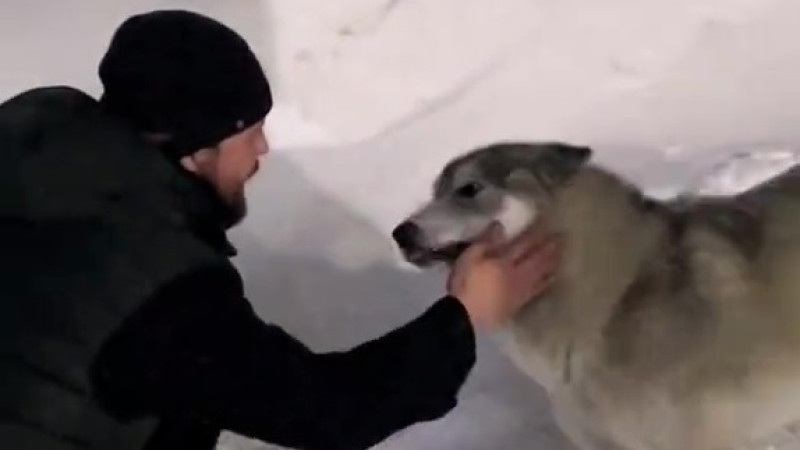 Кадр из видео