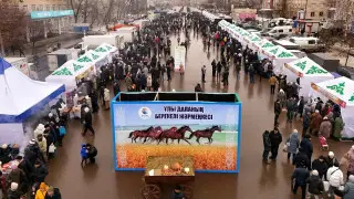 500 тонн продуктов по низким ценам продали на весенней ярмарке в СКО