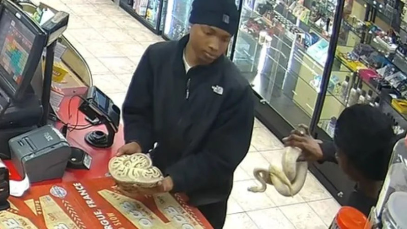 Фото: соцсеть Х