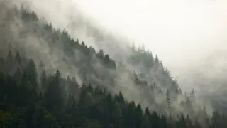 Осадки, туман, гололед:  синоптики предупредили жителей Астаны и 13 областей страны