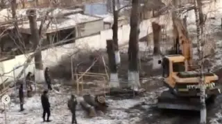 “Переселение“ сирот: зачем вырубили деревья в областном детдоме в Алматы