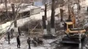 “Переселение“ сирот: зачем вырубили деревья в областном детдоме в Алматы