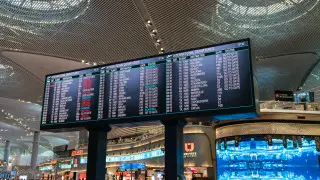 Массовый сбой привел к большим очередям в аэропортах Турции