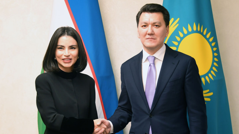 Госсоветник Ерлан Карин встретился с Саидой Мирзиеевой